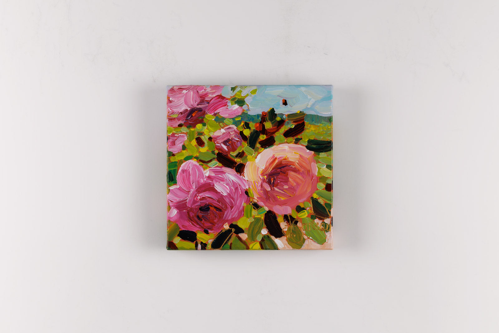 Les Roses De Californie