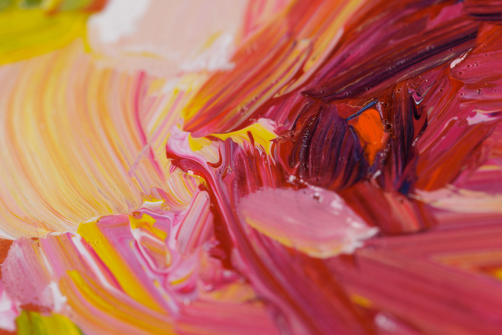 Les Roses De Californie