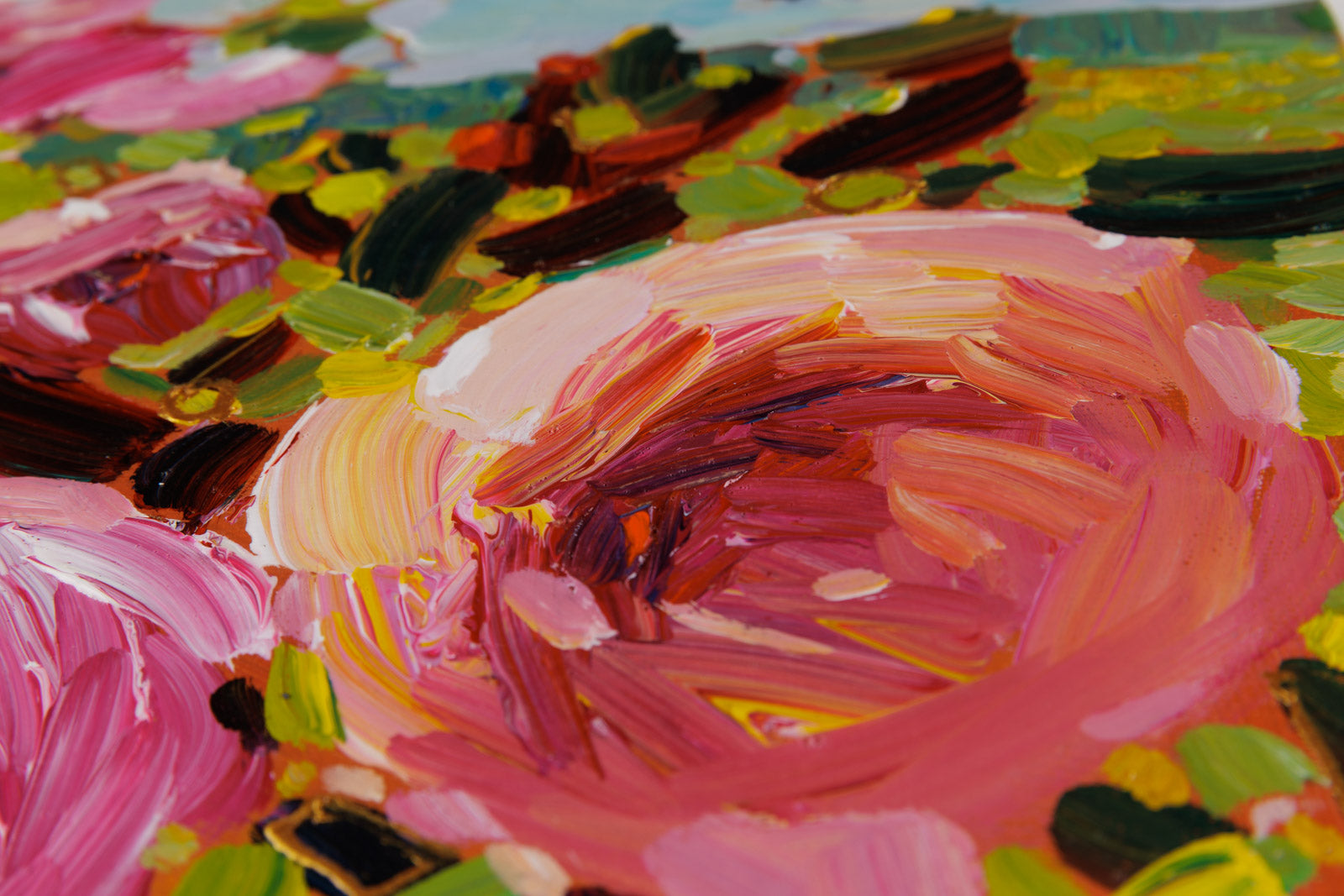 Les Roses De Californie