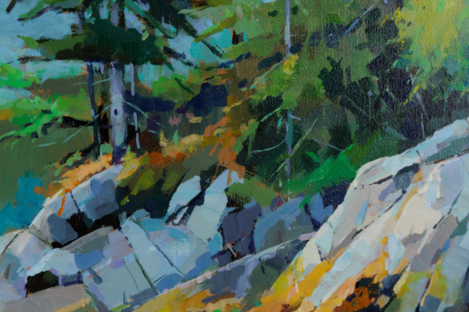 Coastal Exploration