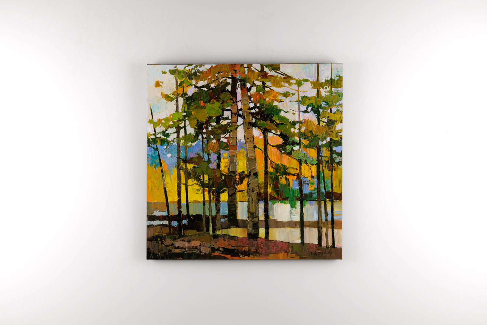 A Peek Through The Pine Trees