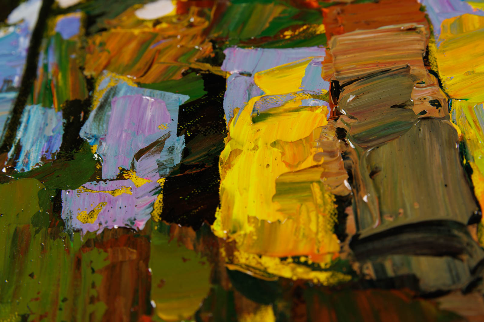 A Peek Through The Pine Trees