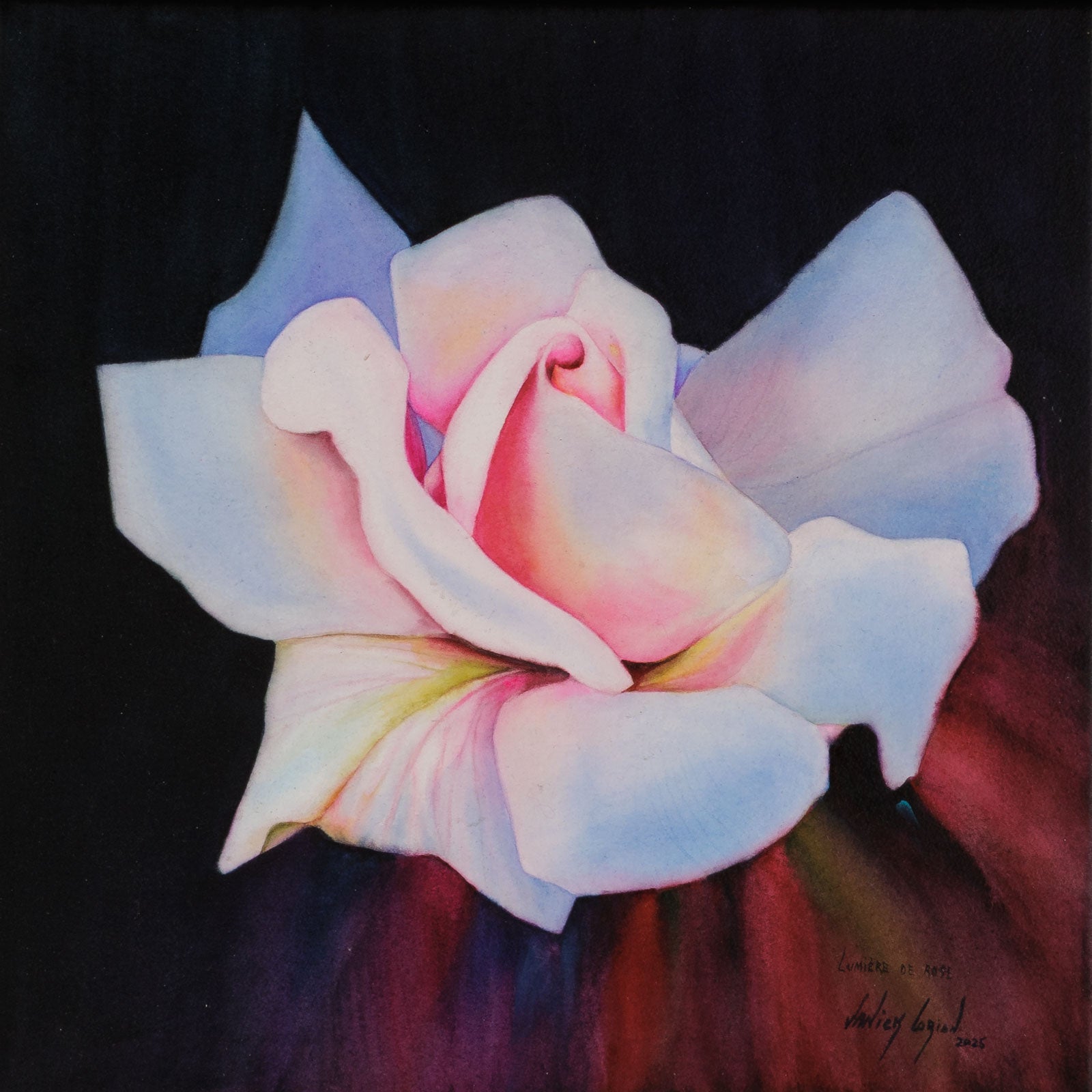 Lumiere De Rose