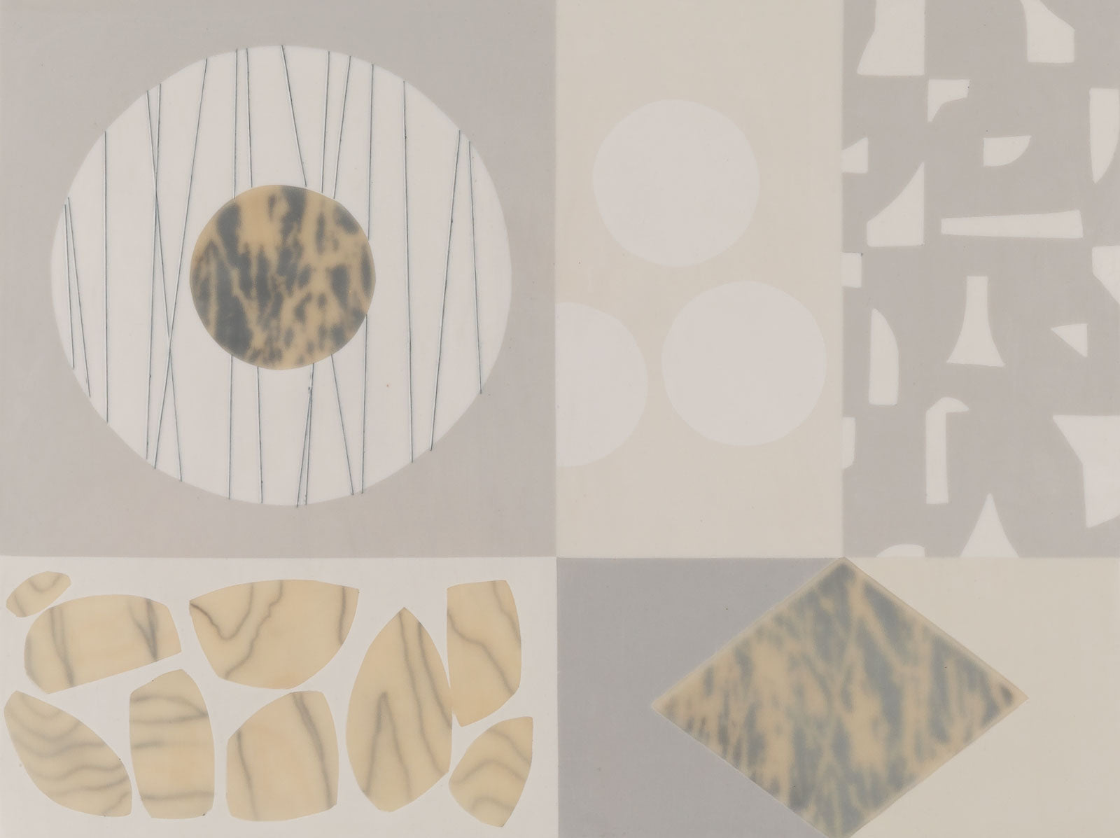Cream n' Gray