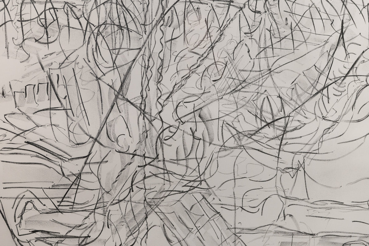 Jean-Paul Riopelle, "Suite Radisson HC/30," detail view, lithograph