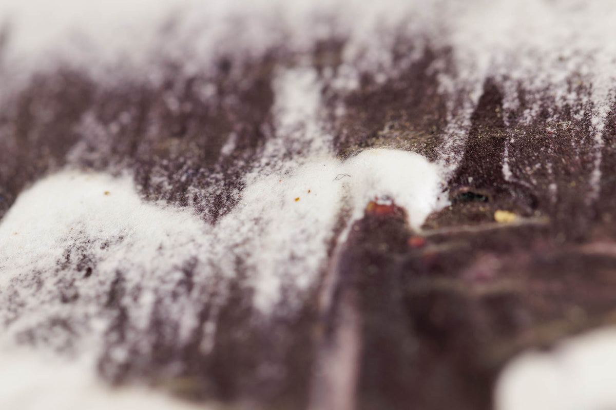 Jean-Pierre Lafrance, "Frozen Sea," detail 1, mixed media on canvas