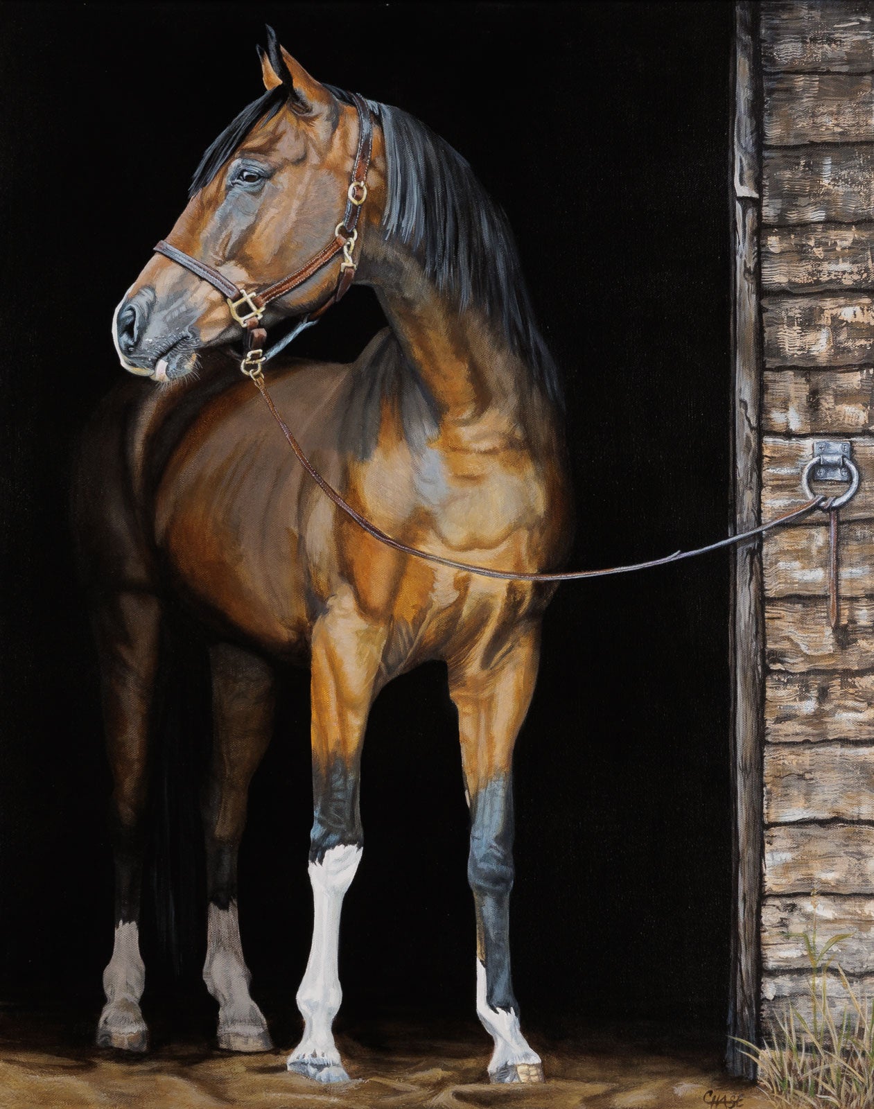 Kim Chase, "The Tethered Heart," oil on canvas, 30 x 24 in., painting of a tethered horse with tack, framed