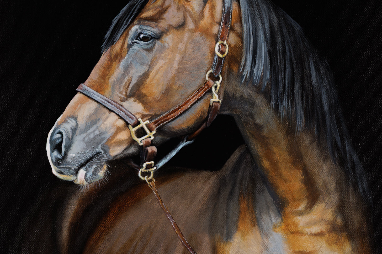 Kim Chase, "The Tethered Heart," detail view, oil on canvas