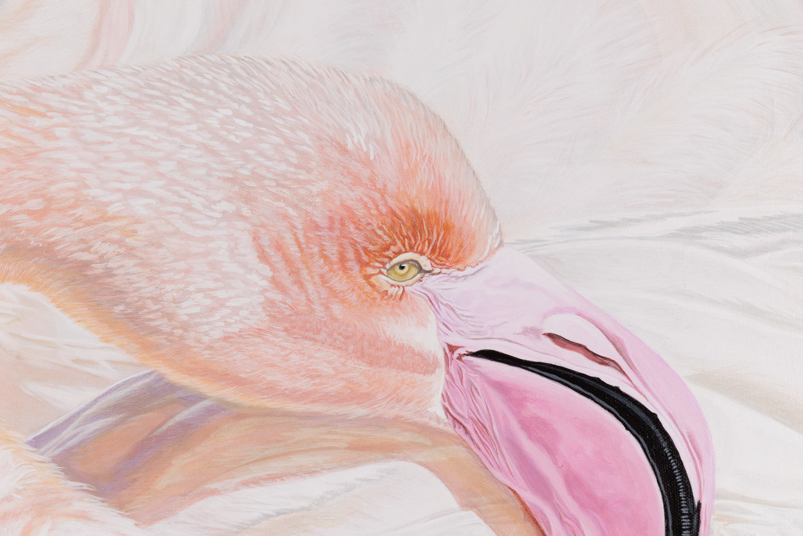 Kim Chase, "Pink Fluff," detail view, oil on canvas