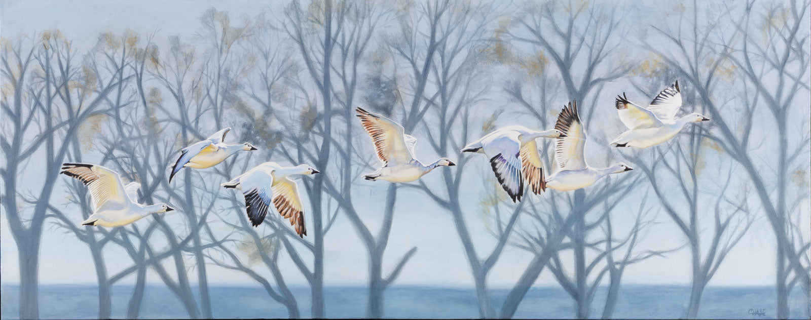 Kim Chase, "Taking Flight," oil on canvas, 16 x 40 in., wildlife painting of birds in flight, framed