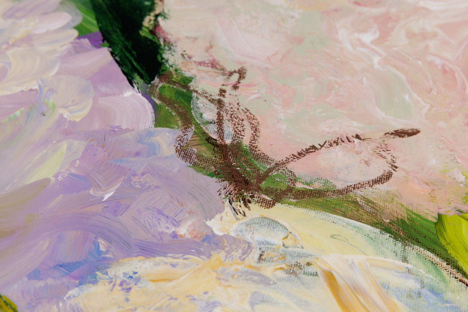 Wide Eyed & Mystified