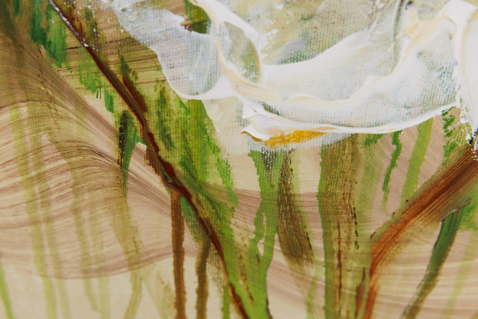 Wide Eyed & Mystified