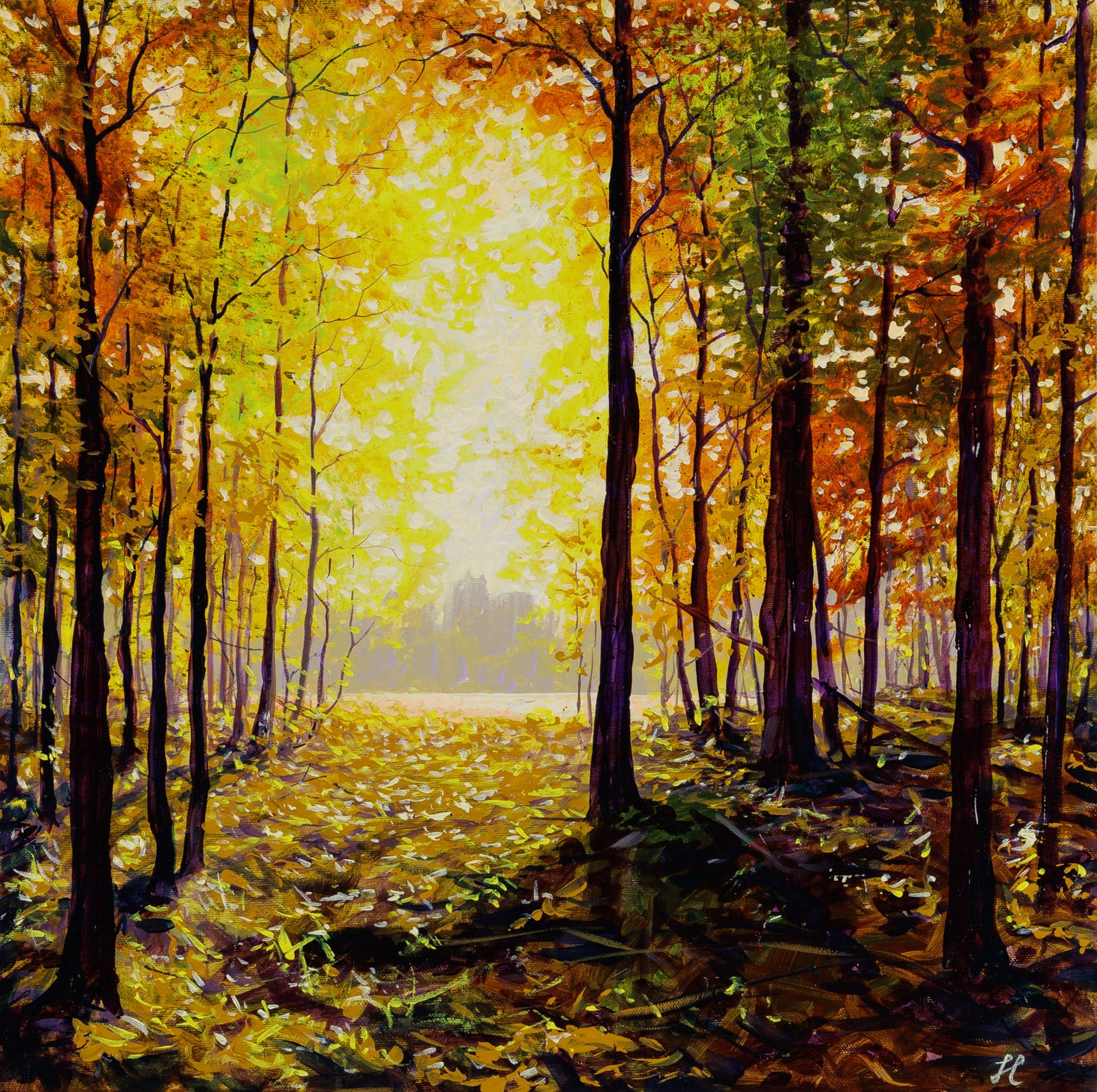 Morning Bliss, Lake Kingsmere