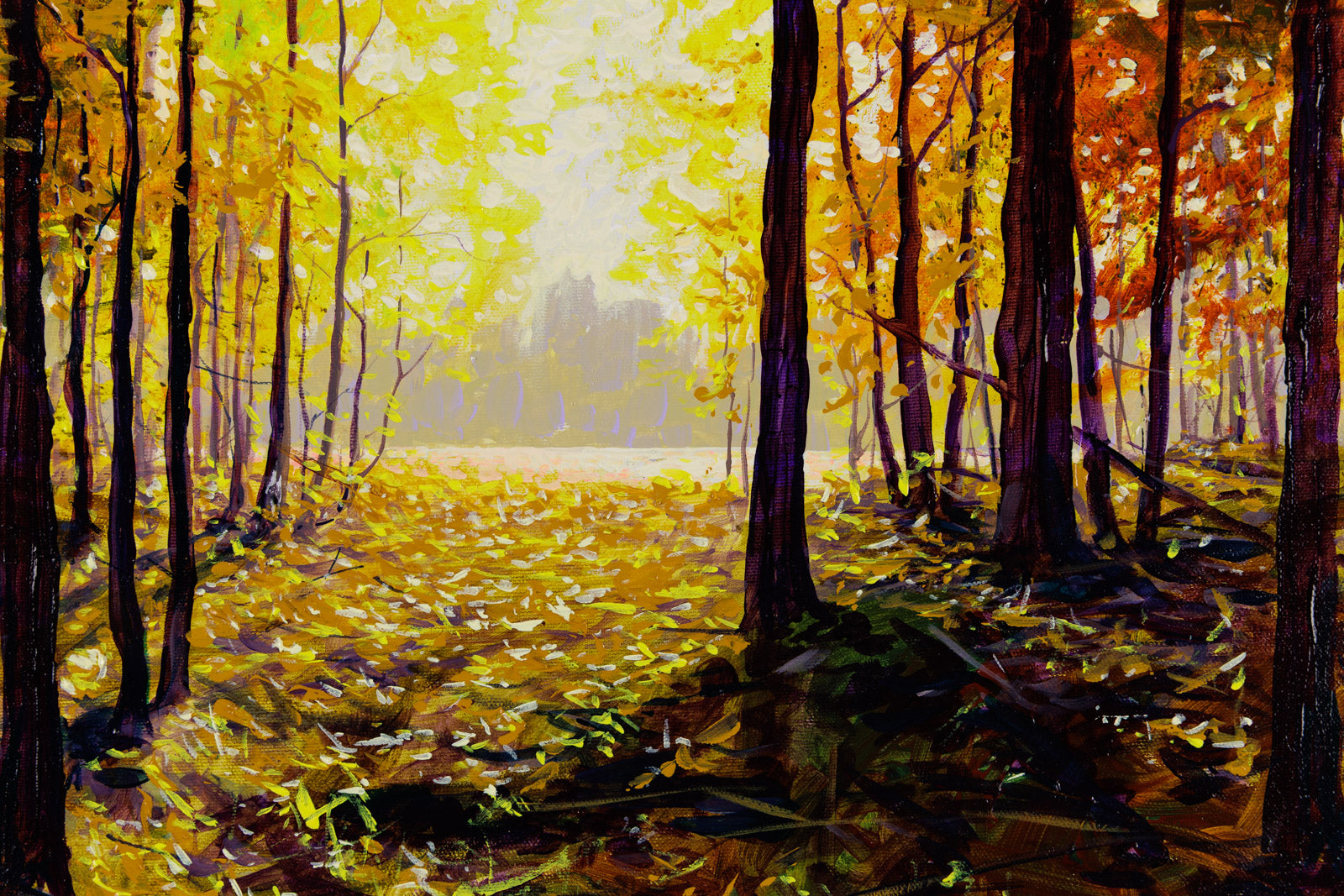 Morning Bliss, Lake Kingsmere