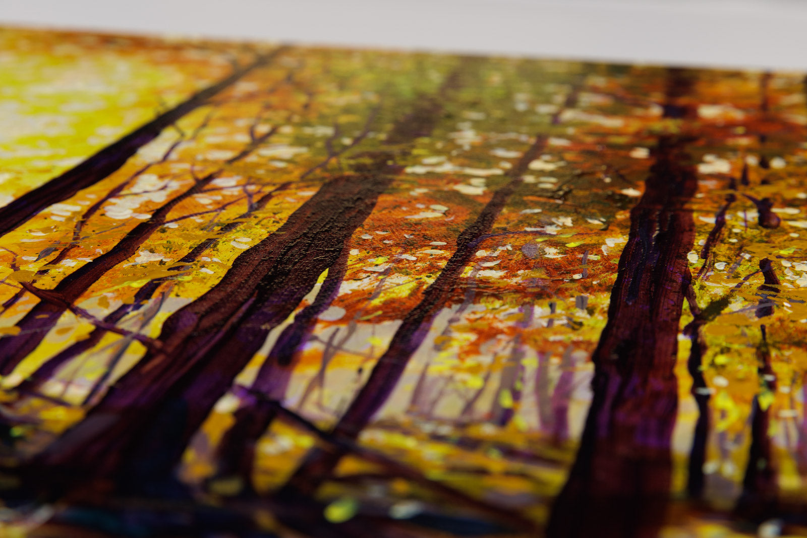 Morning Bliss, Lake Kingsmere