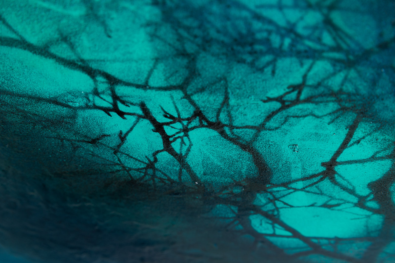 The Light That Shines From Within