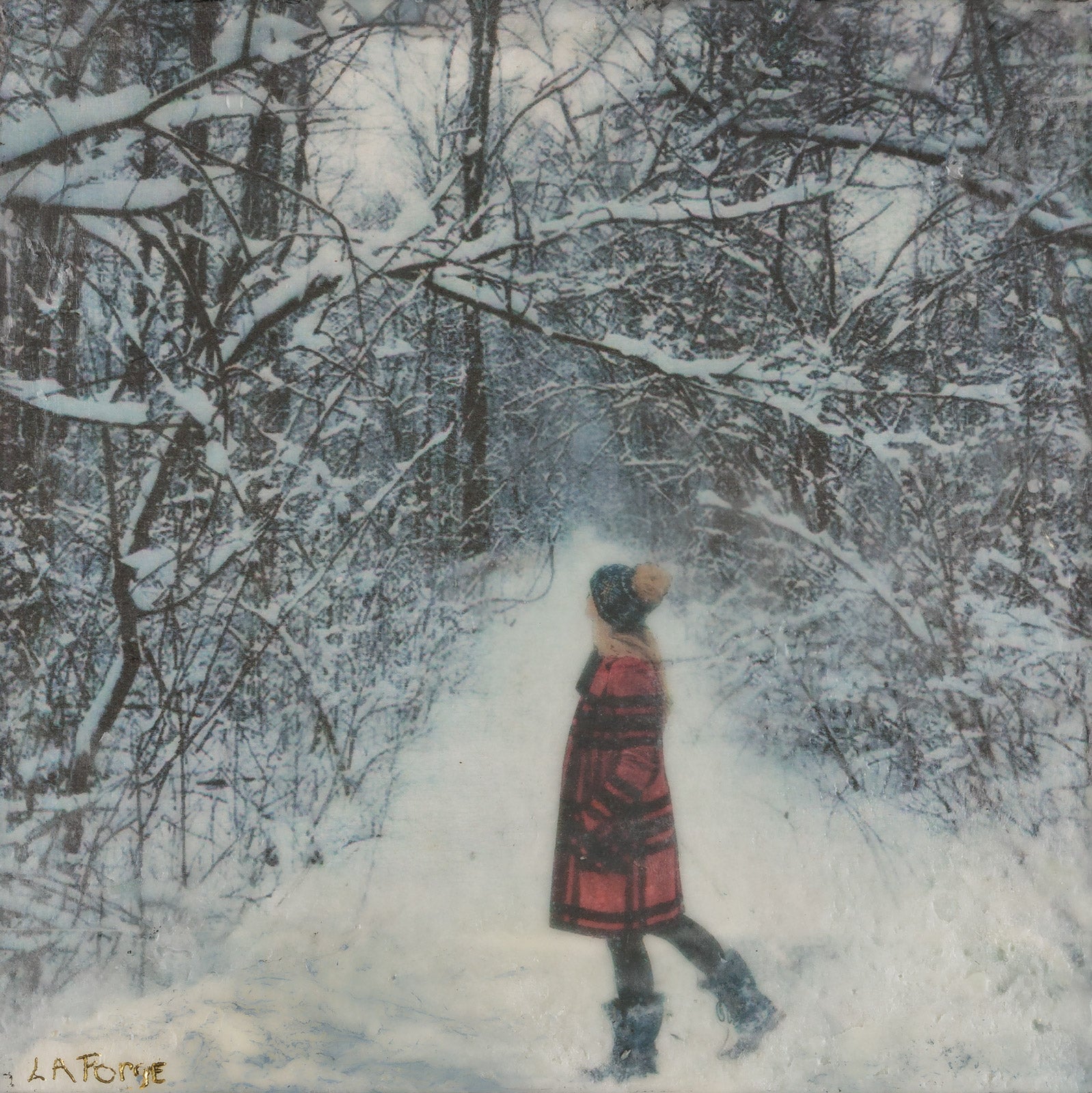 A Walk In The Woods On A Winter Day