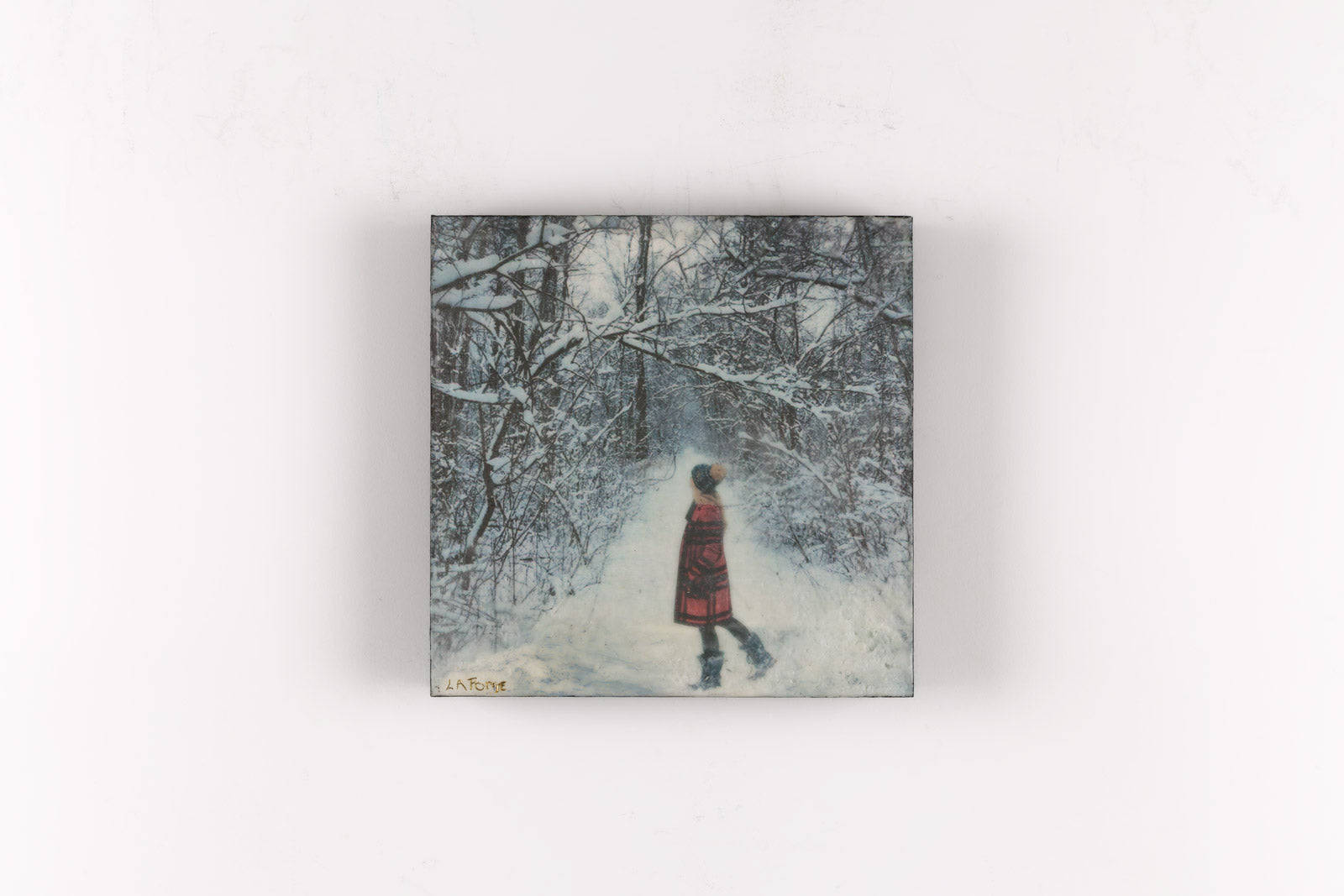 A Walk In The Woods On A Winter Day