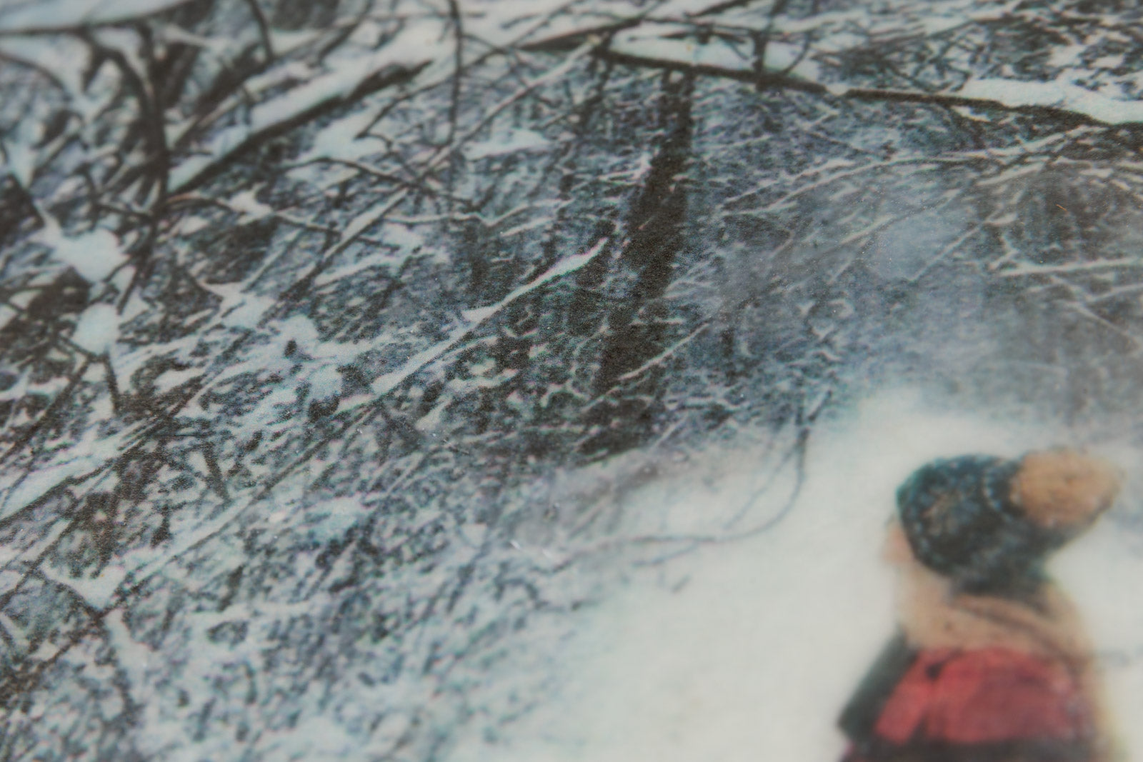 A Walk In The Woods On A Winter Day