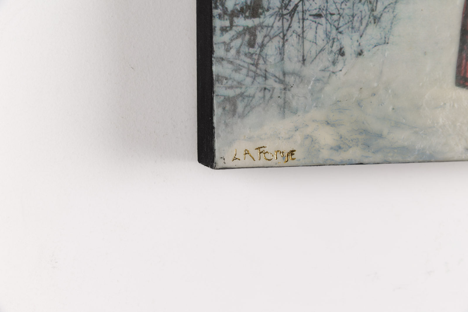 A Walk In The Woods On A Winter Day