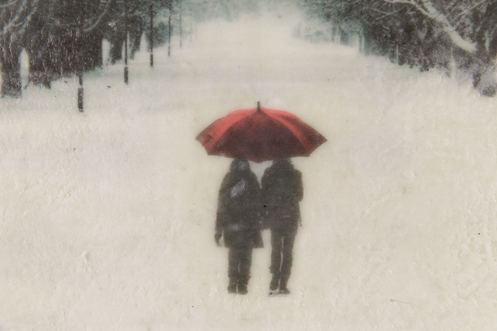 A Stroll In The Park In Winter