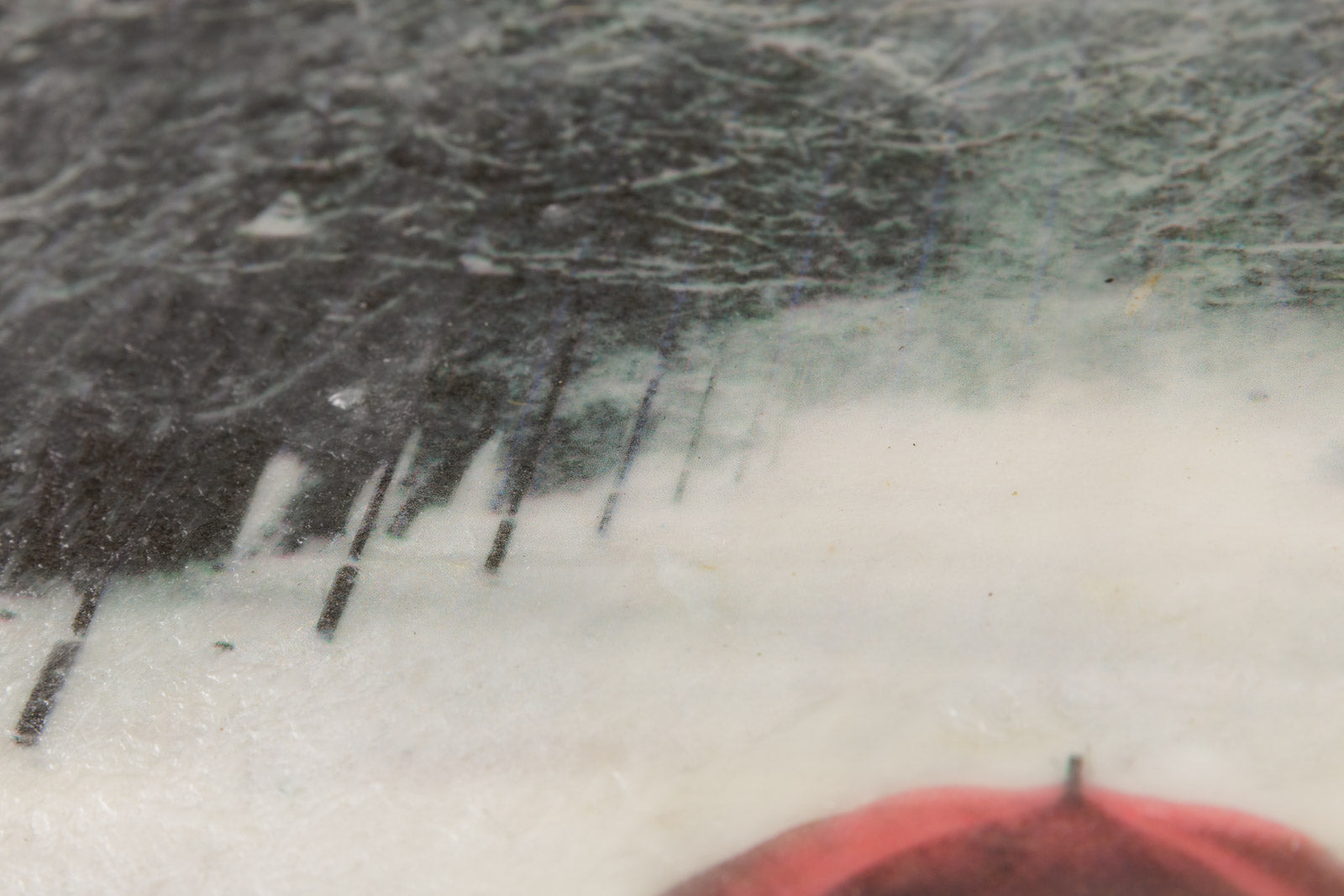 A Stroll In The Park In Winter