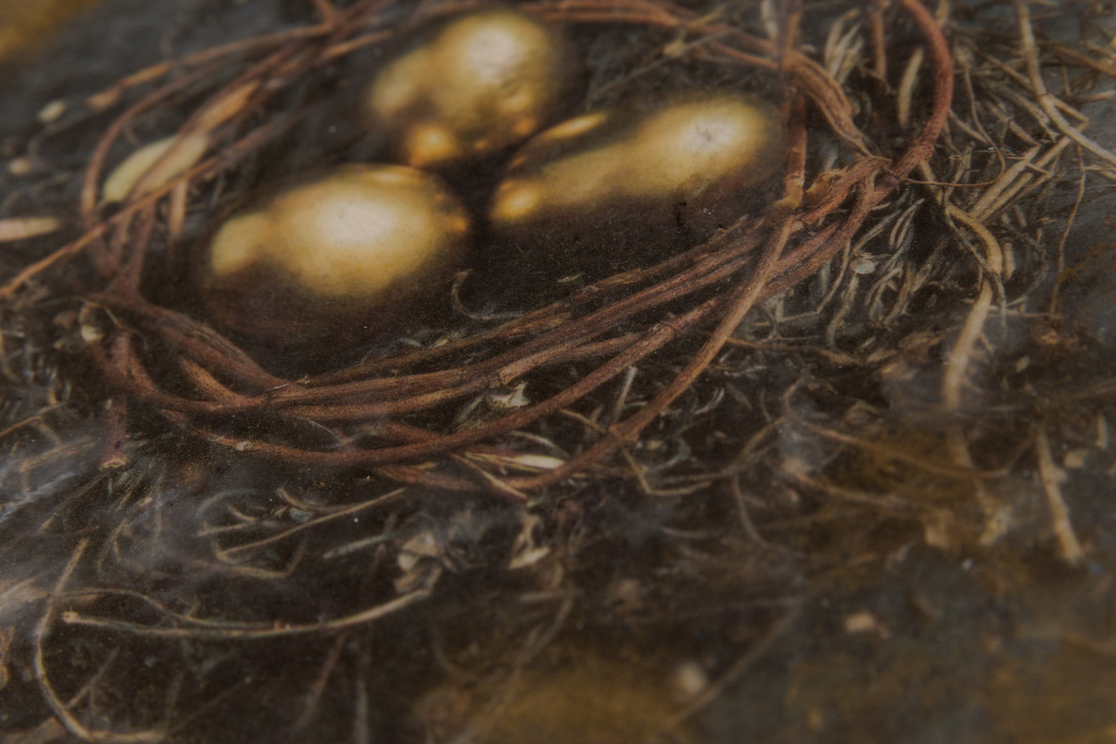 Our Golden Nest Eggs