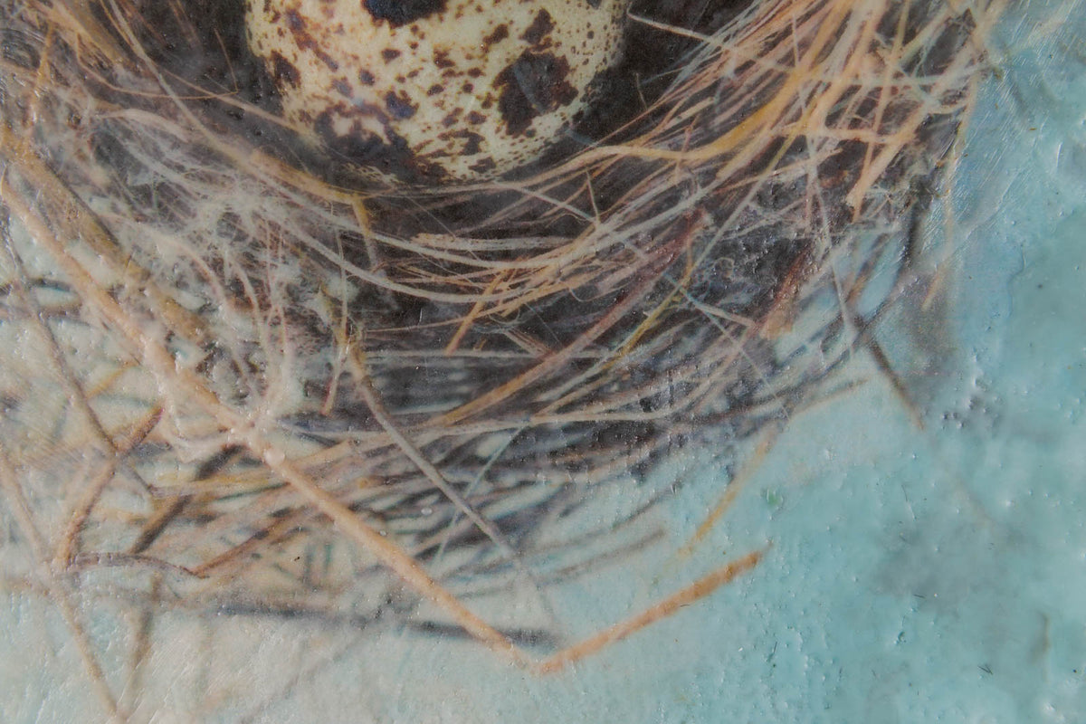 Lee Anne LaForge, "Three Speckled Eggs," detail 1, encaustic on panel