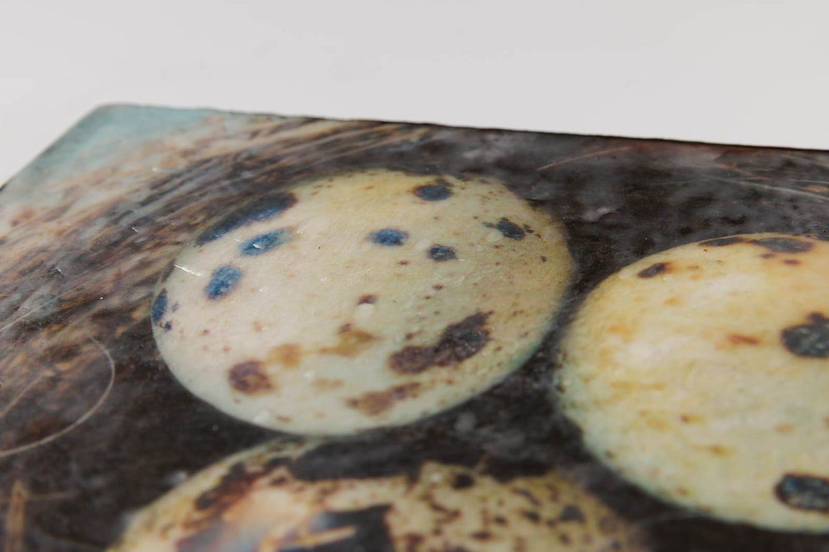 Lee Anne LaForge, "Three Speckled Eggs," detail 2, encaustic on panel