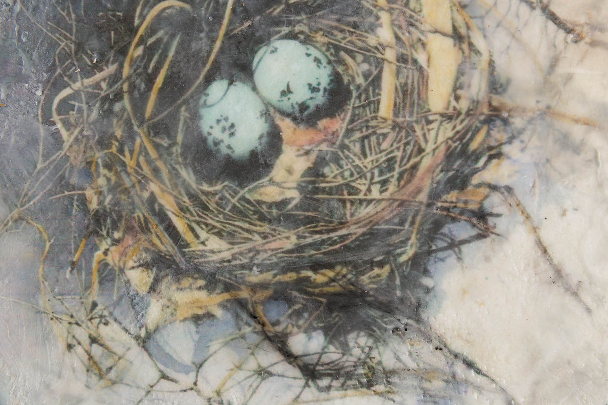 Lee Anne LaForge, "Nest I," detail 1, encaustic on panel