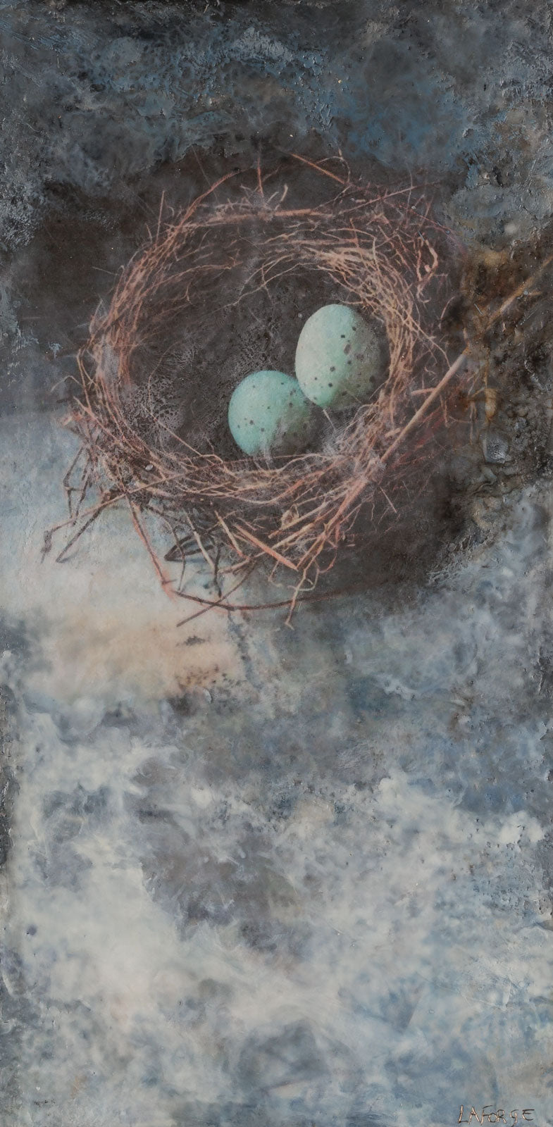 The Hidden Nest In The Wall