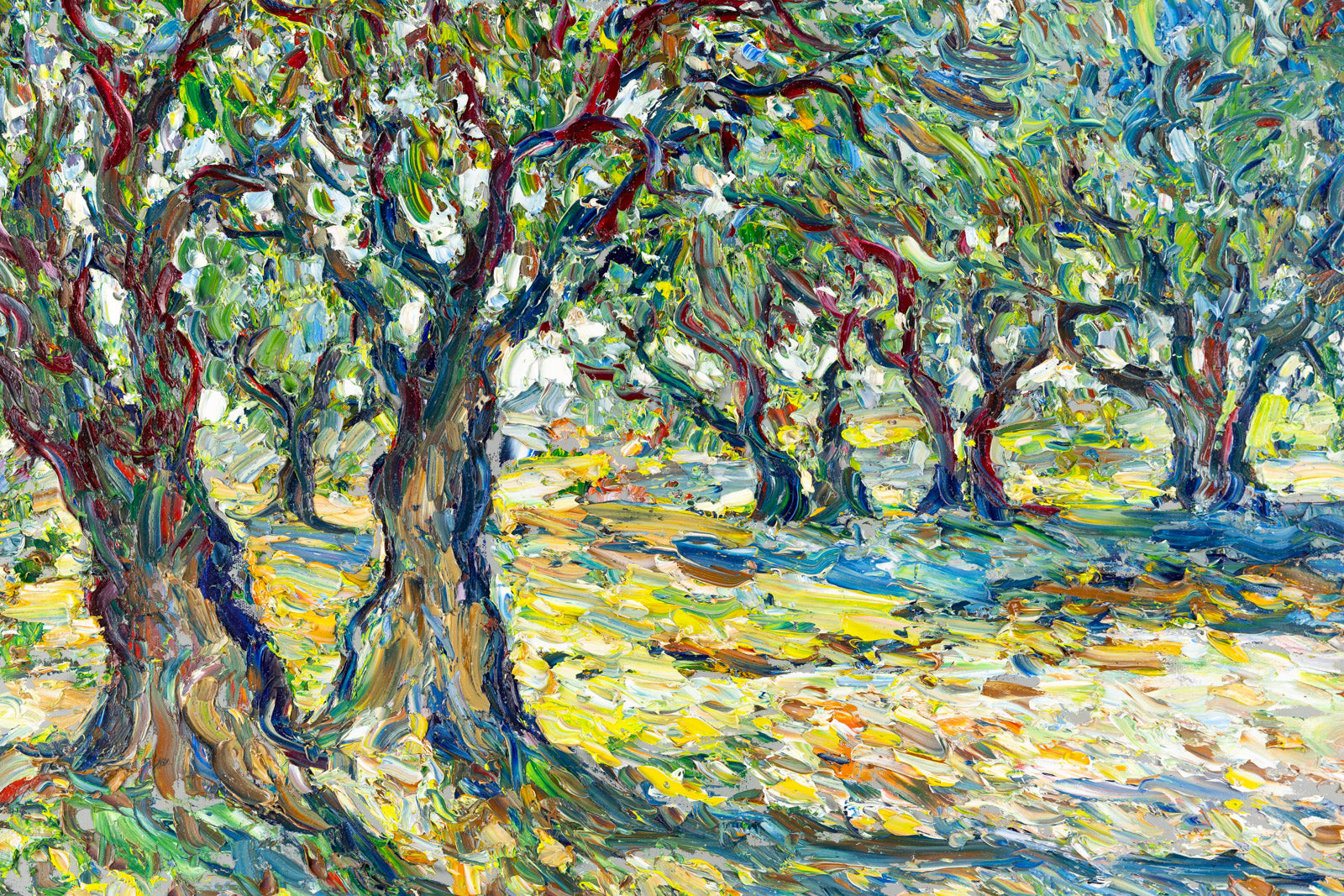 Les Oliviers Du Domaine Saviou