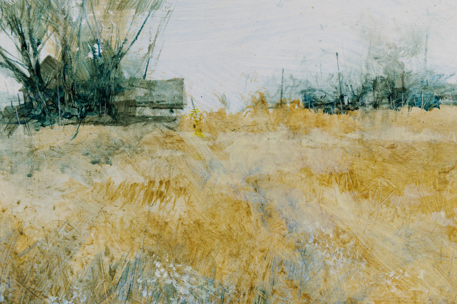 Amber Meadow