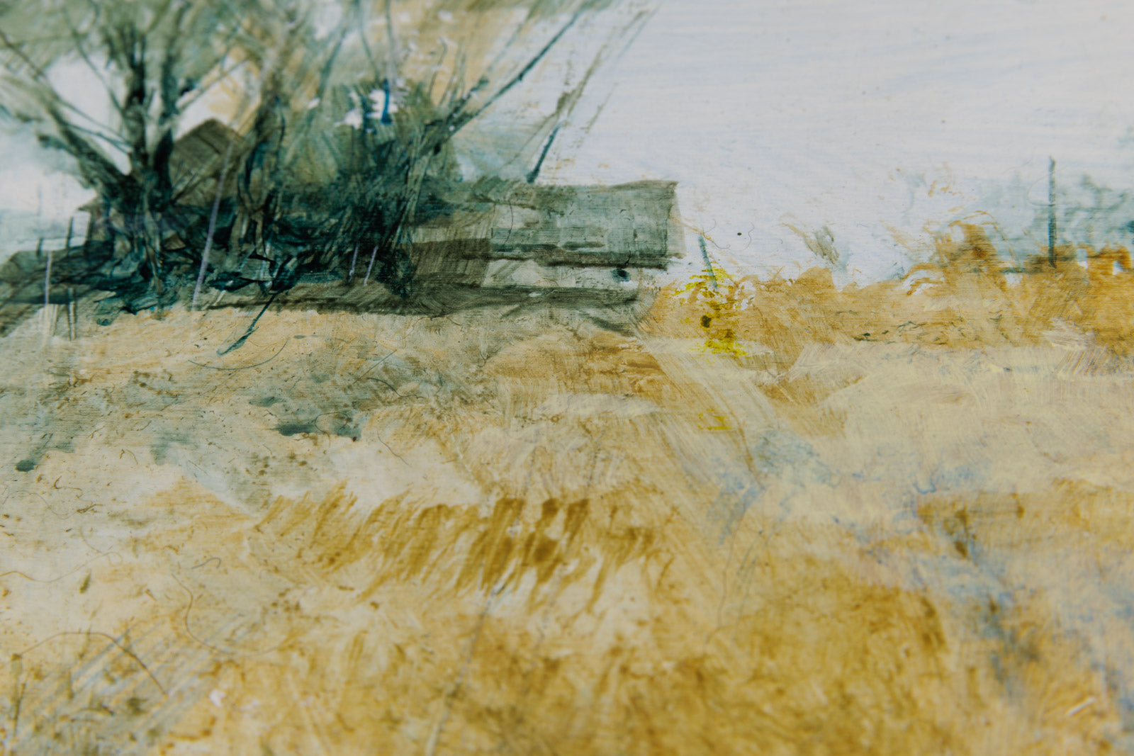 Amber Meadow