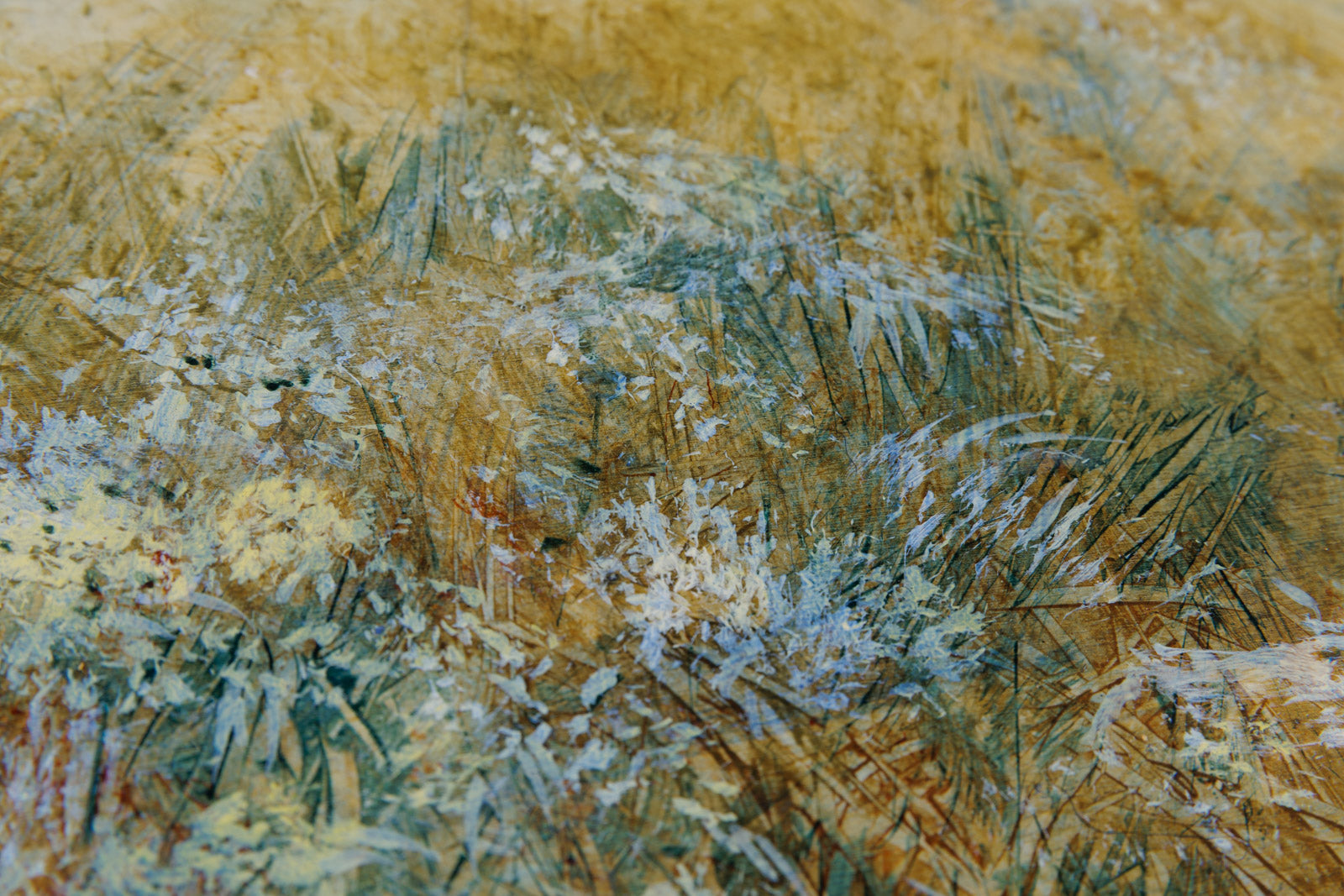 Amber Meadow