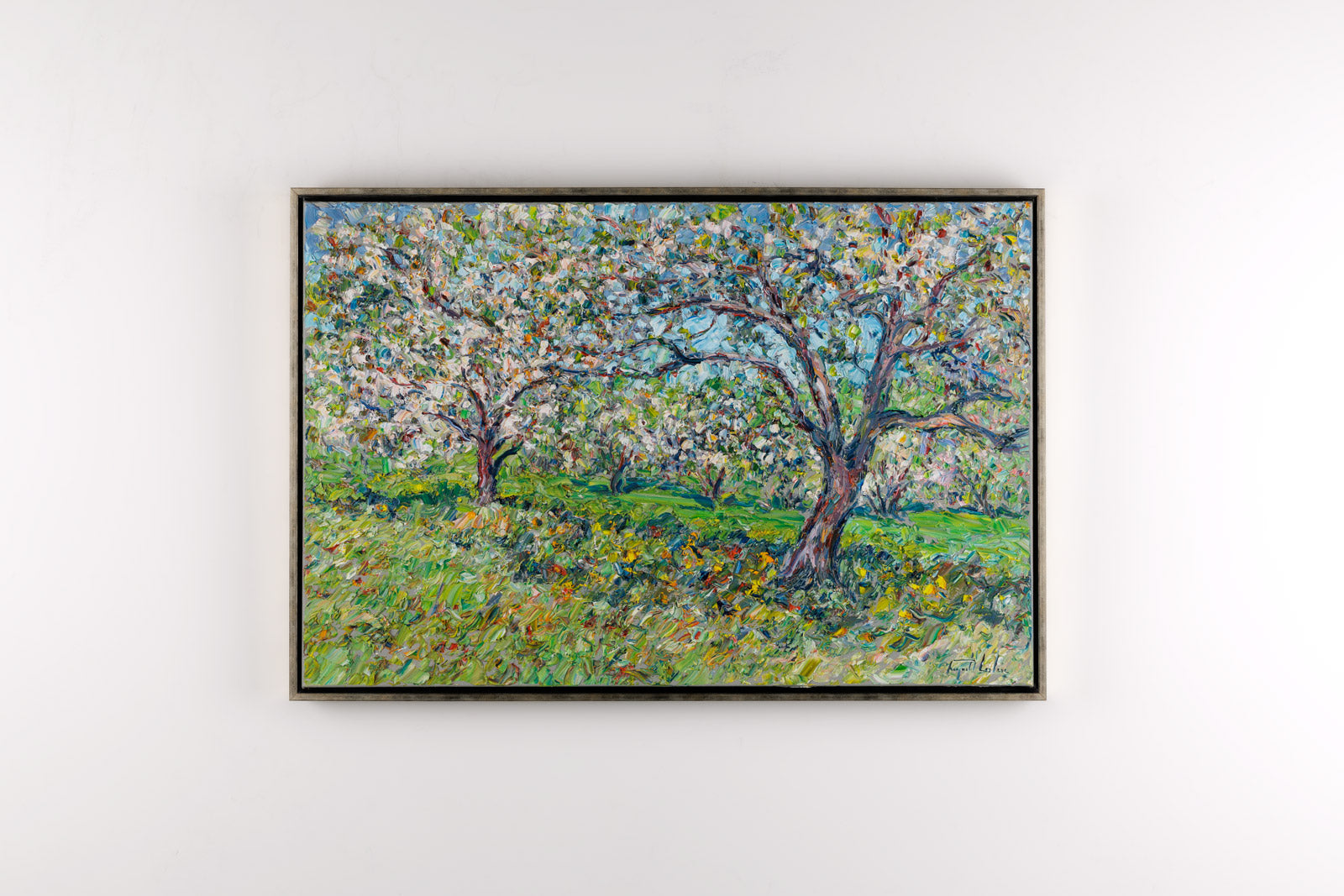 Dans Le Verger En Fleur- Ile D'Orleans