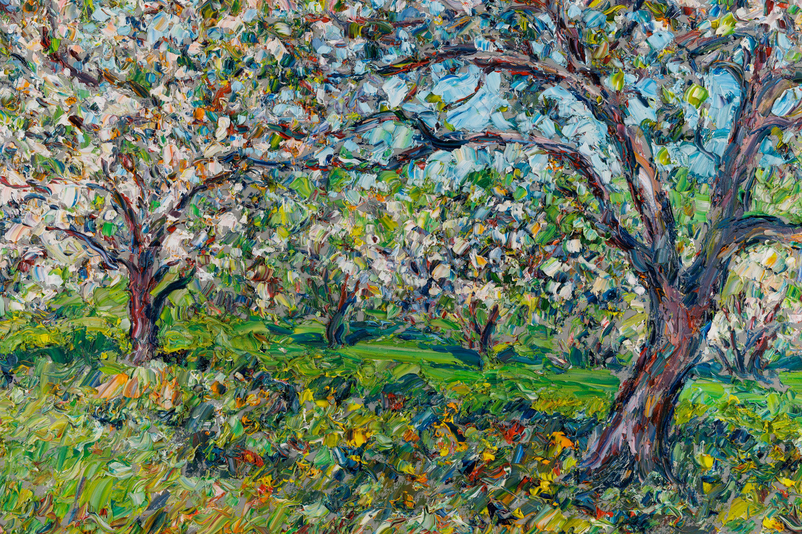 Dans Le Verger En Fleur- Ile D'Orleans