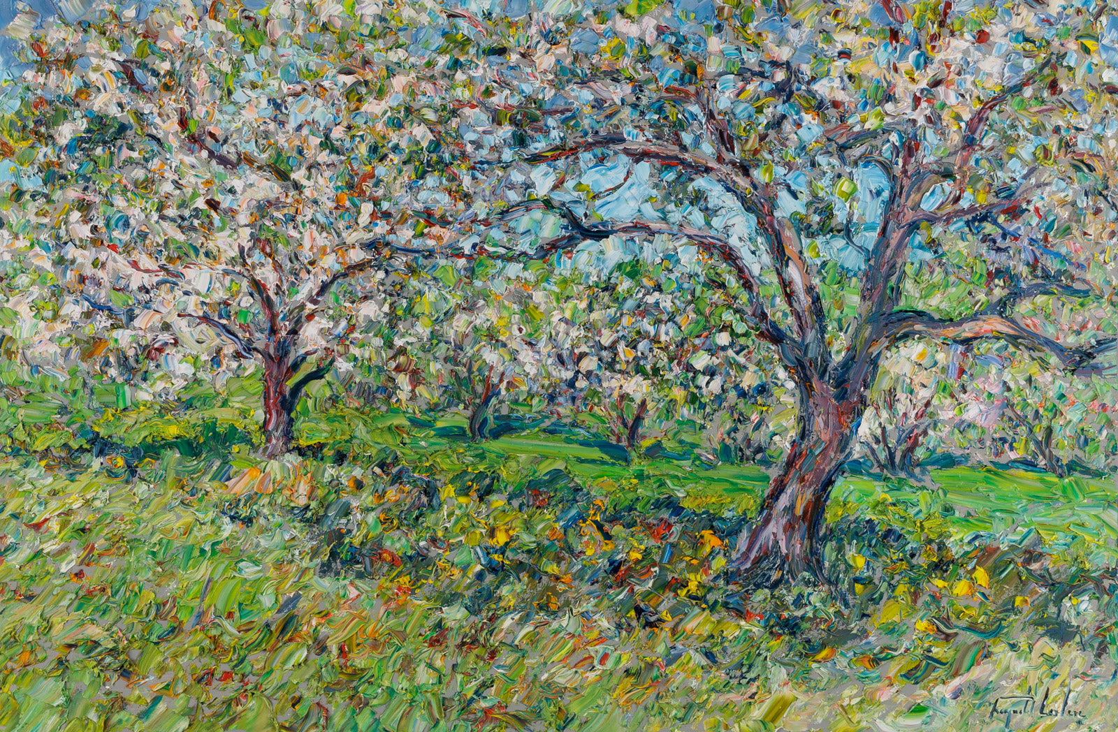 Dans Le Verger En Fleur- Ile D'Orleans