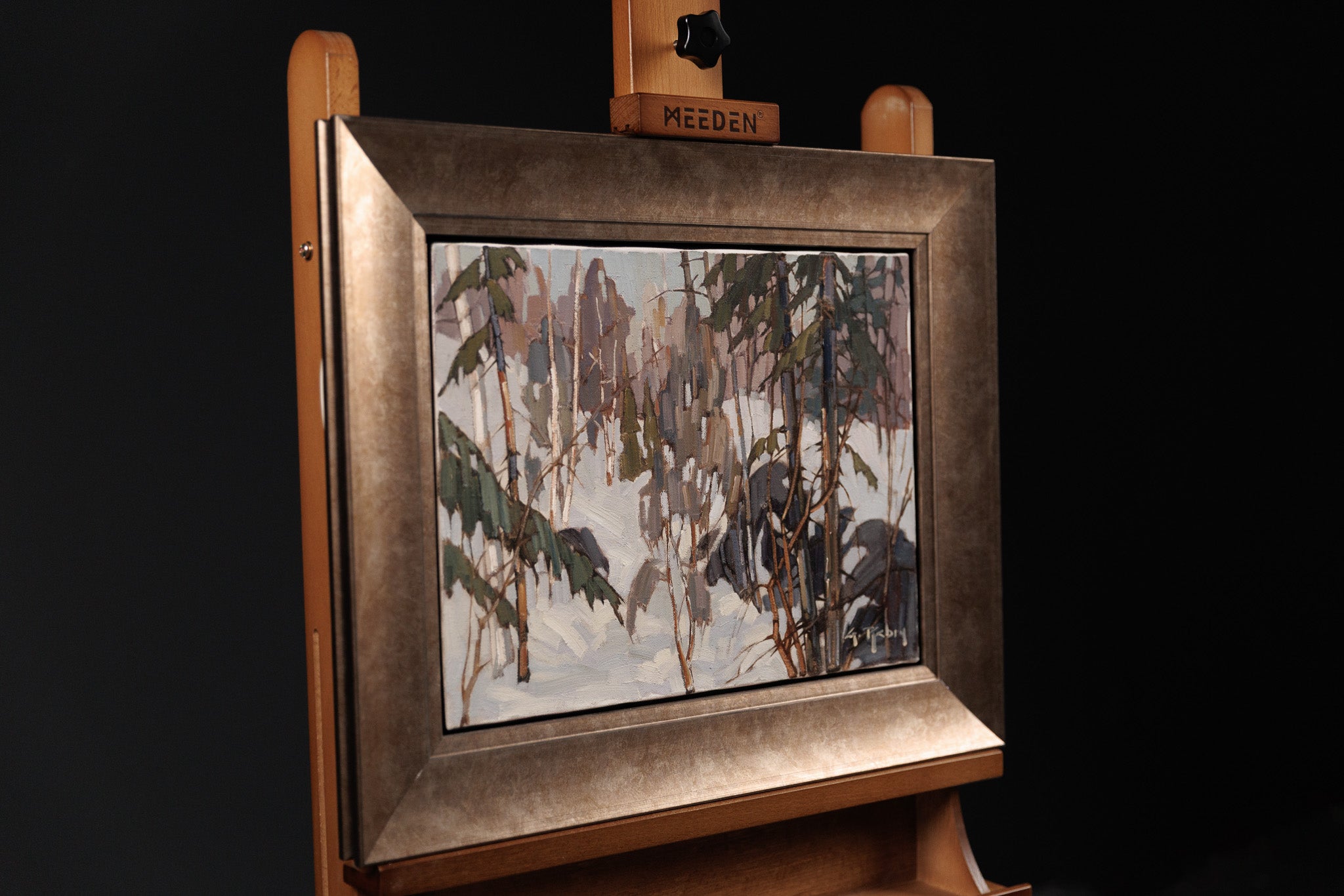 Les Lacs Et Sous Bois