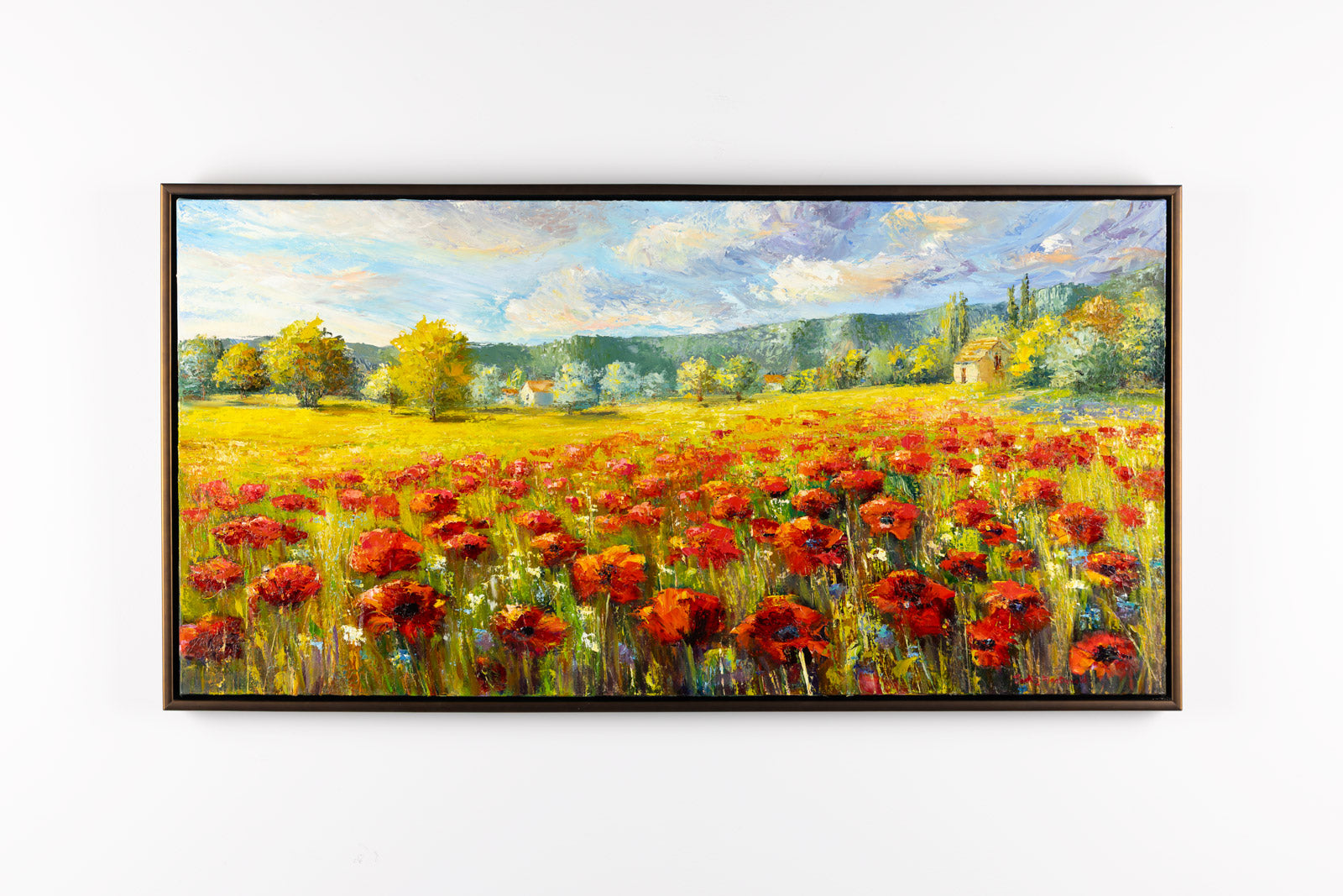 Champ De Coquelicots