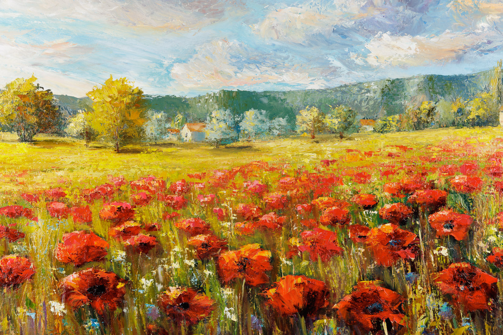 Champ De Coquelicots