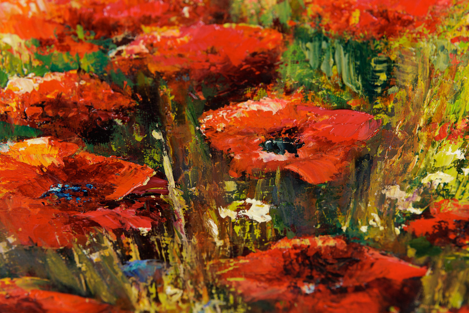 Champ De Coquelicots