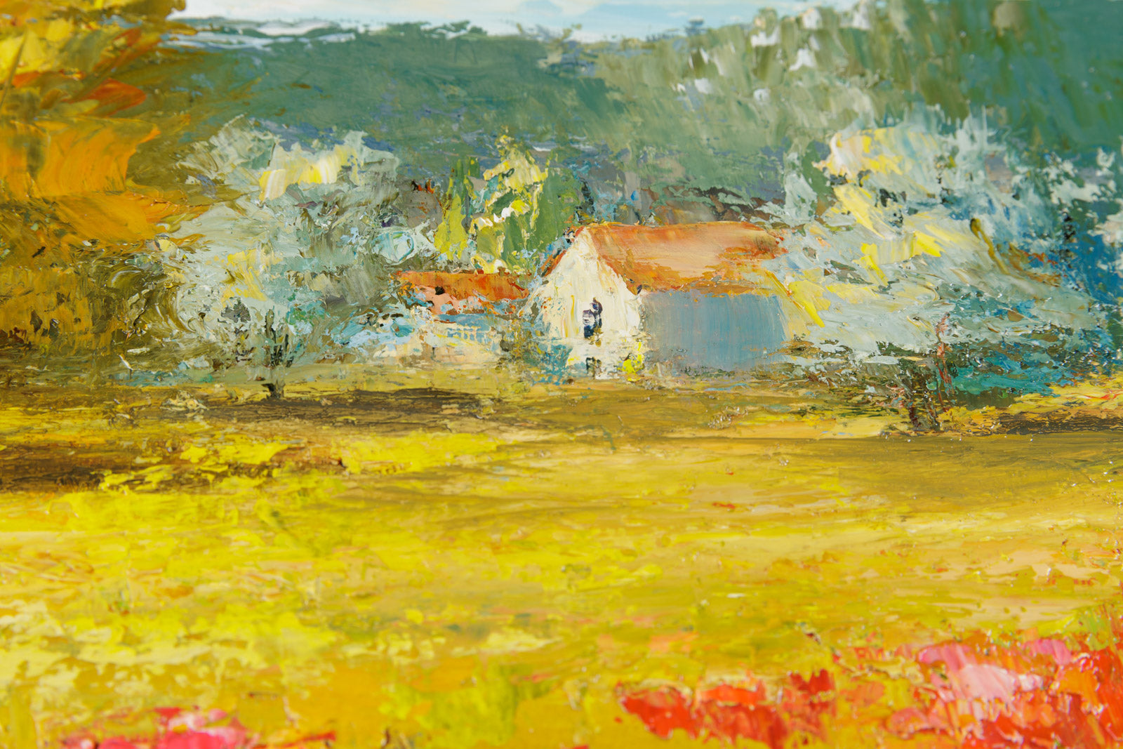 Champ De Coquelicots