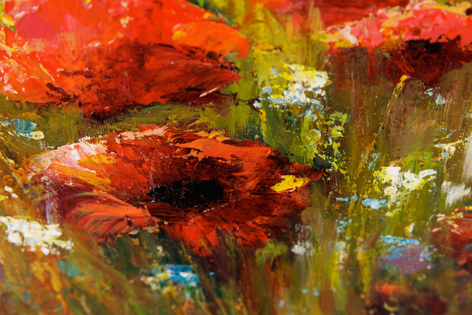 Champ De Coquelicots