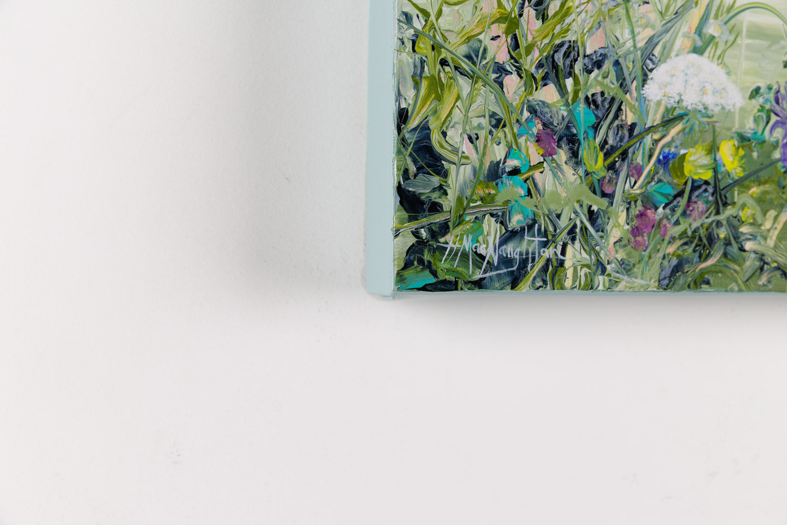 Have You Seen Any Milkweed Around Here?