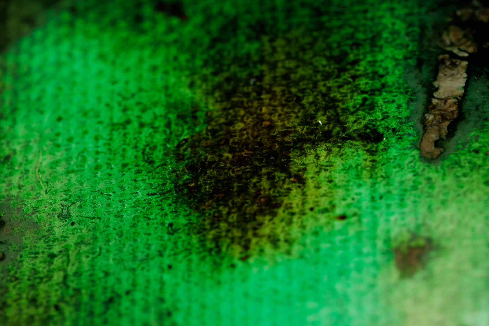 Marie-Andrée Leblond, "Good Boy," detail view, acrylic on canvas