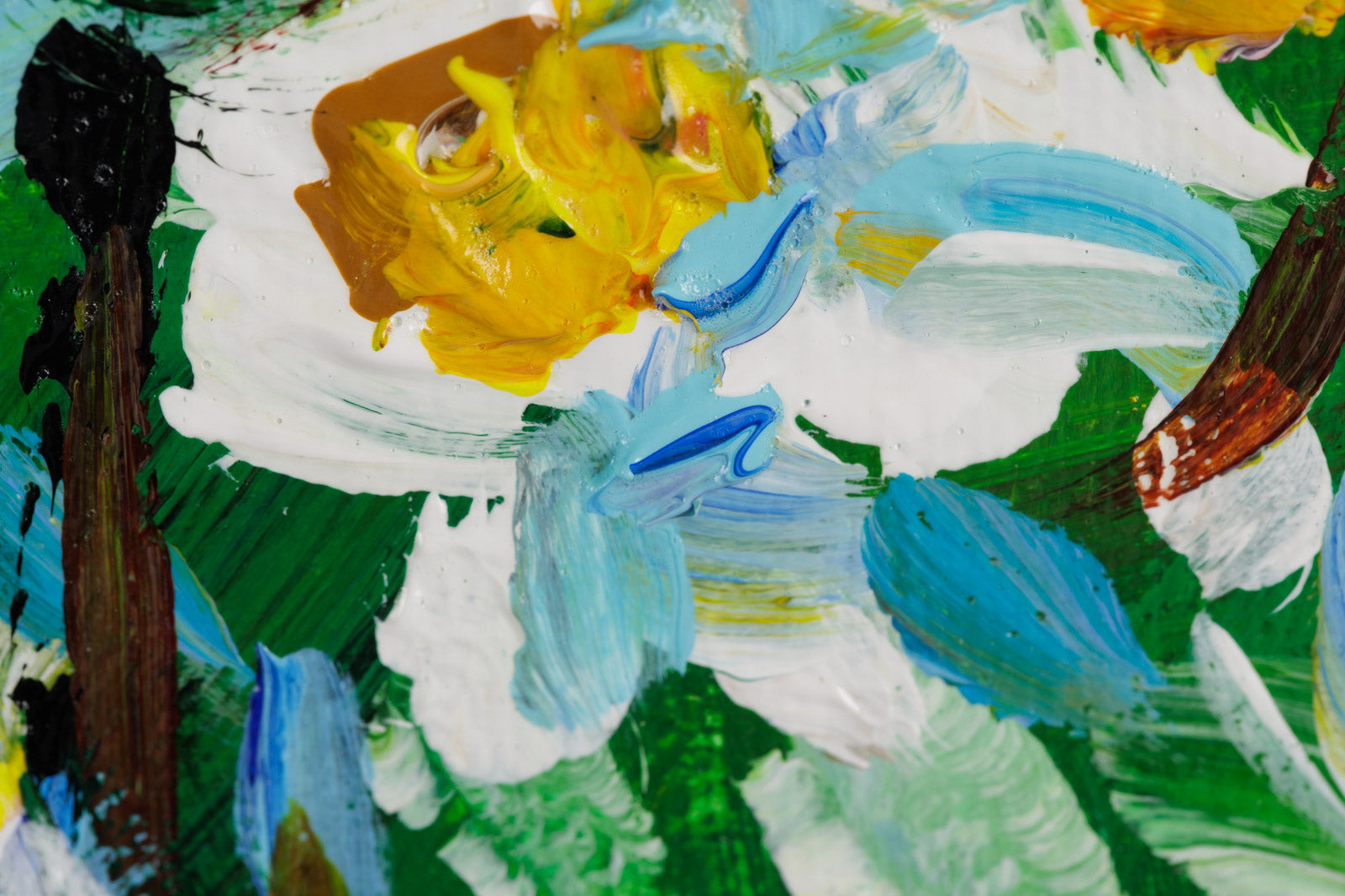 Daisies All Around
