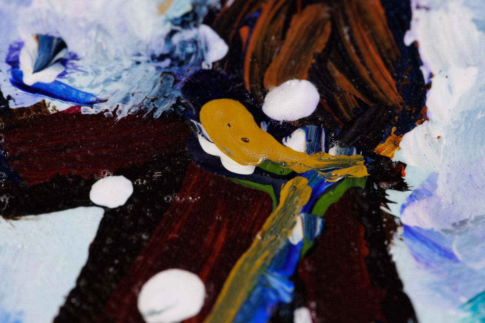 In The Heart Of Ottawa