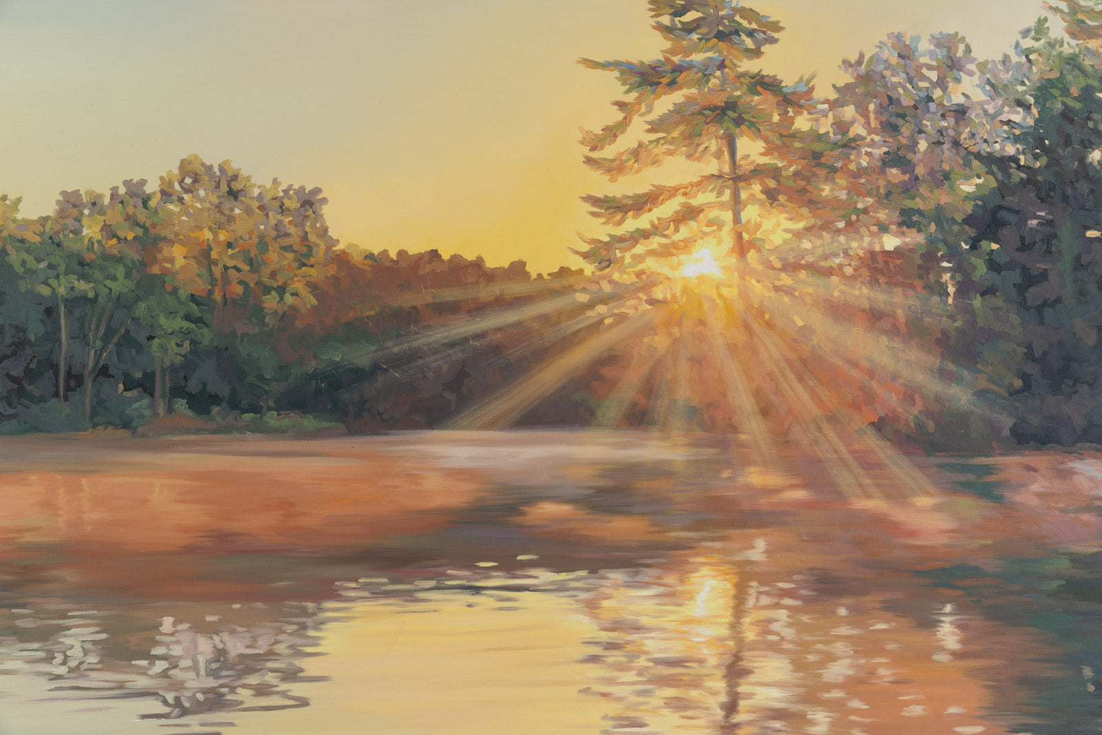 Echoes Of Sunshine