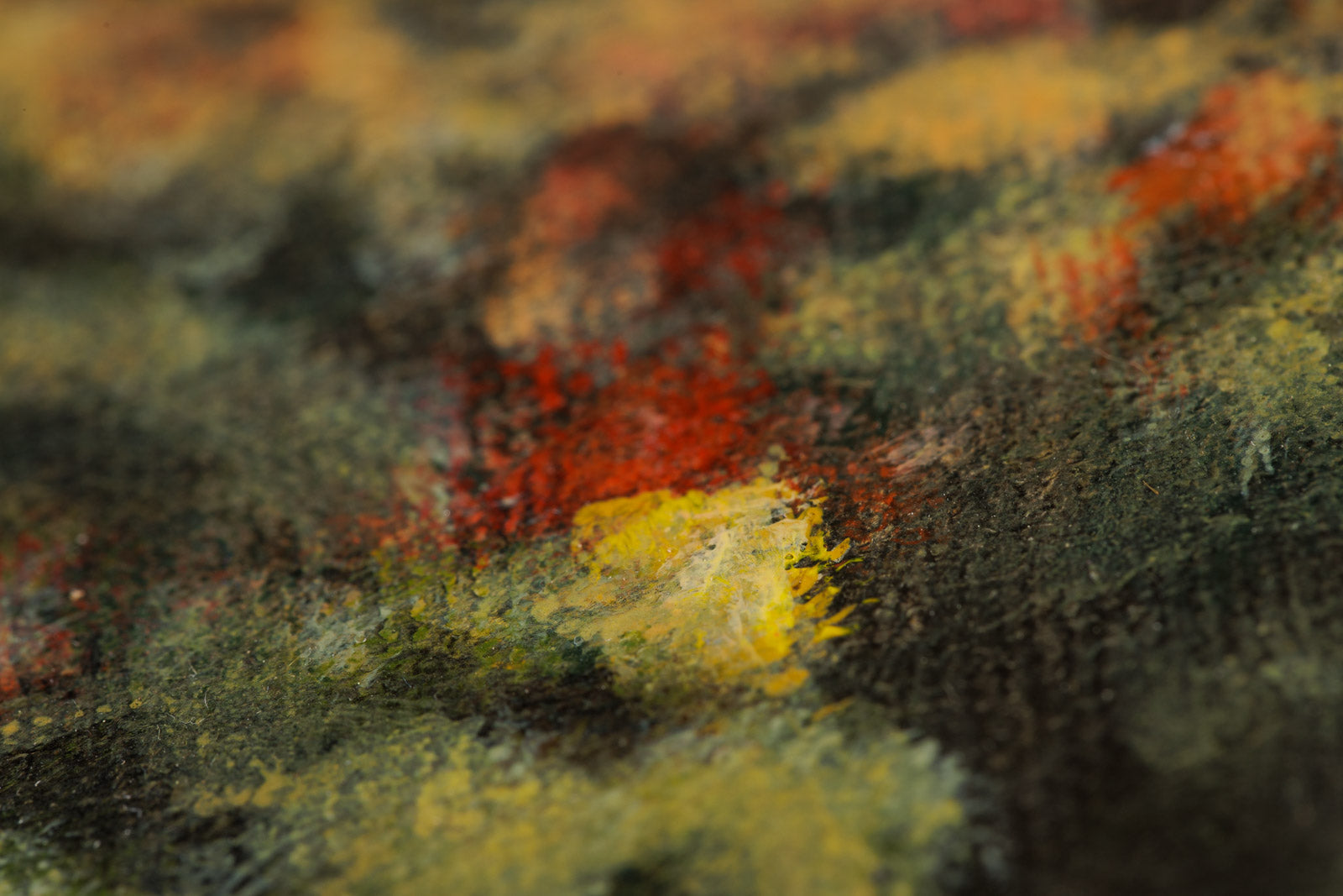 Changing Colours At The Lake Of Two Rivers